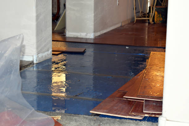 Professional Basement Flood Cleanup technician working in Hockley, TX